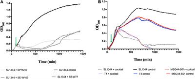 An Optimized Bacteriophage Cocktail Can Effectively Control Salmonella in vitro and in Galleria mellonella